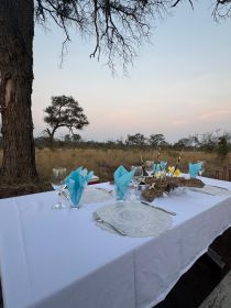 Hoedspruit, Dinner in the Bush & Safari Game Drive - Housity