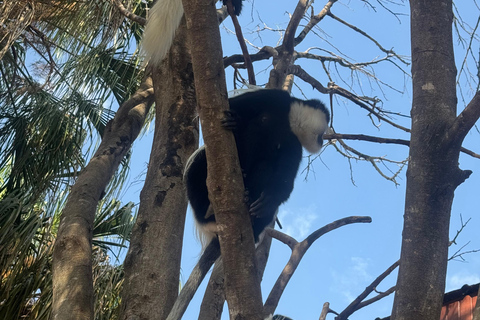 Addis Ababa: 14-Day National Parks and Wildlife Tour