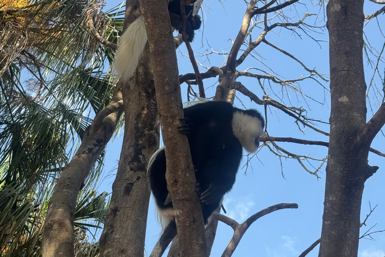 Addis Ababa: 14-Day National Parks and Wildlife Tour