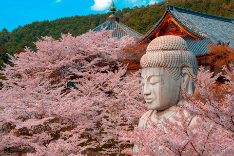 Nara Cherry Blossom Highlights Spring Day Tour from Osaka Shared Tour, Meet at Tsurutontan Soemoncho