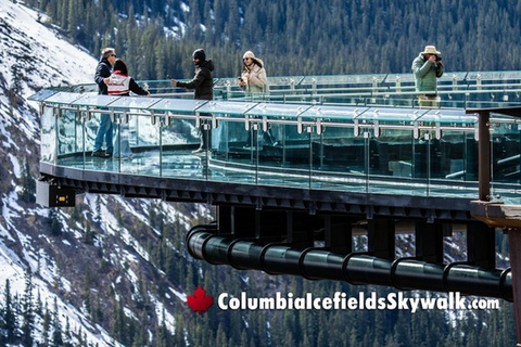 Banff : Columbia Icefield Adventure with Top Five lakes Tour