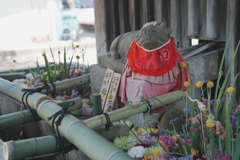Kyoto Customisable Private Tour with a Local Guide