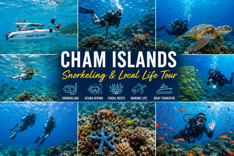 Cham Islands Snorkeling & Scuba Diving Snorkel 1 time By Speedboat