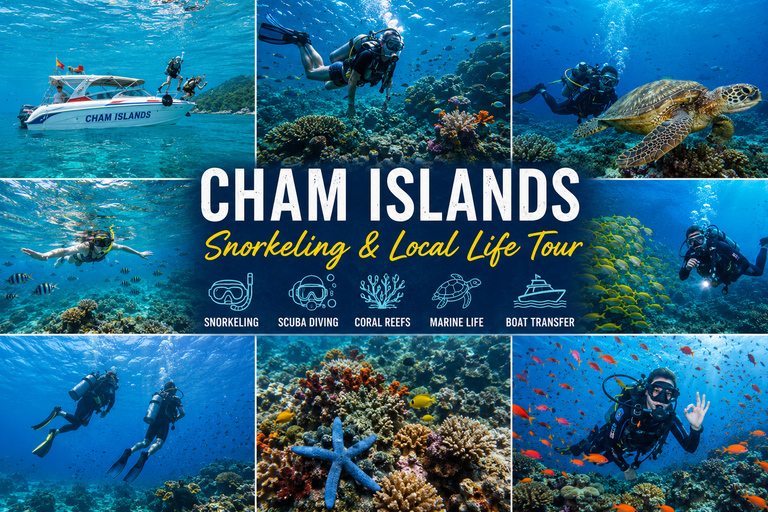 Cham Islands Snorkeling & Scuba Diving Snorkelling 2 Time SharedBoat