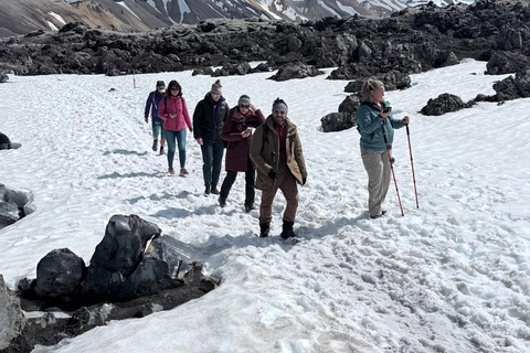 From Reykjavík: Landmannalaugar Transfer with Scenic Stops