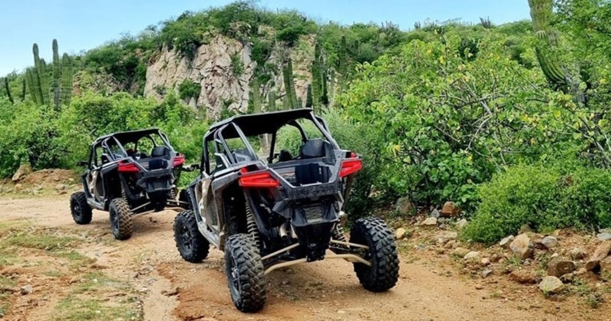 トドスサントス：2023 RZR XP Pro Ultimate オフロードレンタル GetYourGuide