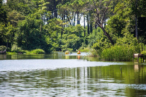 From Batumi: Georgian Amazon & Kolkheti Park Tour