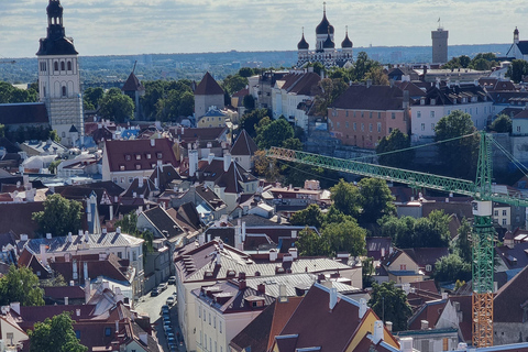 Helsinki: nach Tallinn VIP-Tagestour mit Fähre und Tour