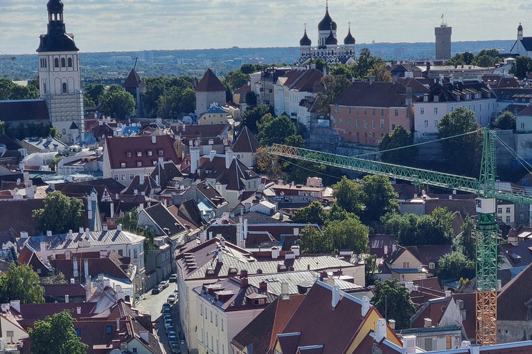 Helsinki: nach Tallinn VIP-Tagestour mit Fähre und Tour