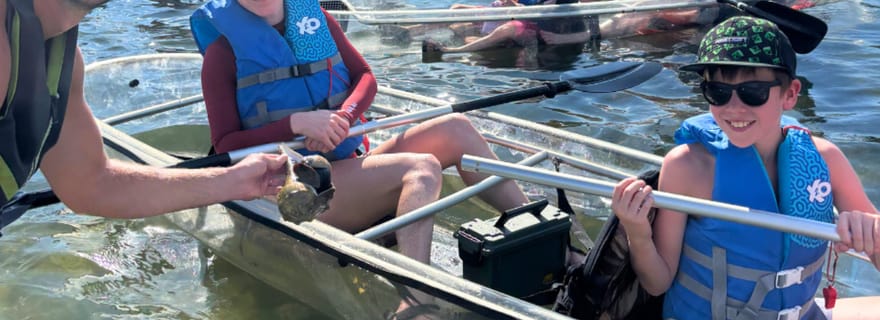 Sarasota : visite écologique en kayak transparent dans les tunnels de la mangrove