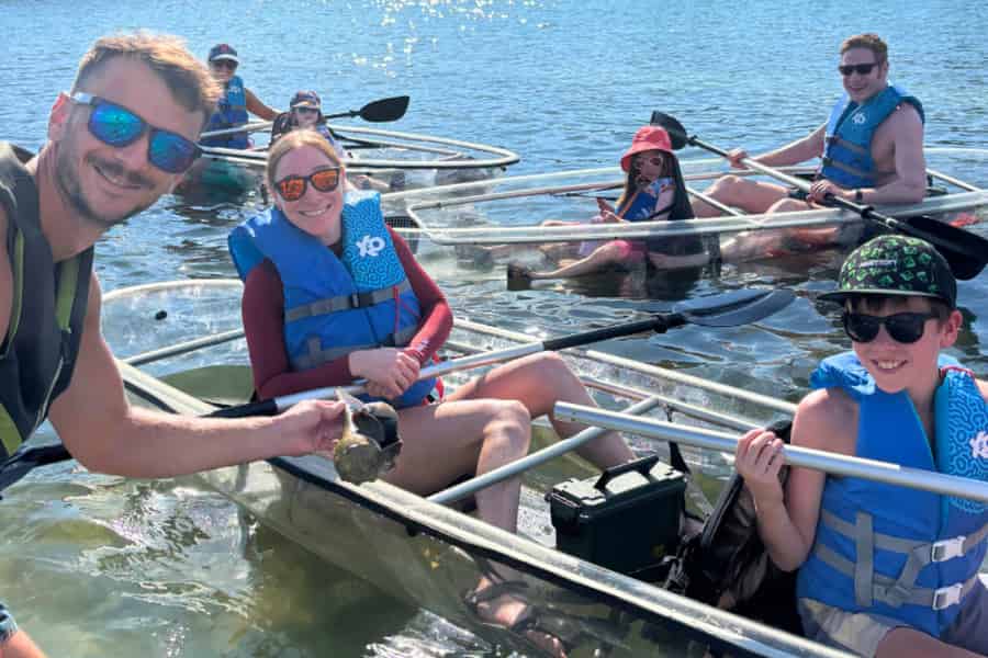 Sarasota: Öko-Tour mit transparentem Kajak durch den Mangroventunnel. Foto: GetYourGuide