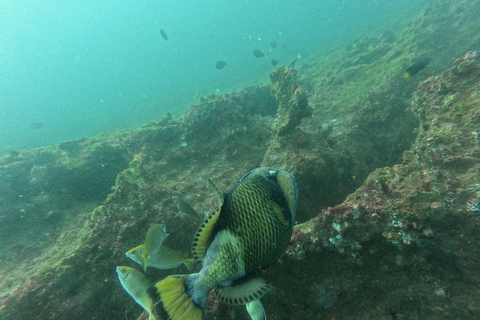 Mirissa: Scuba Diving Experience & Refreshments for Beginner