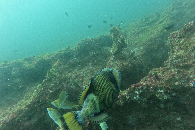 Mirissa: Scuba Diving Experience & Refreshments for Beginner