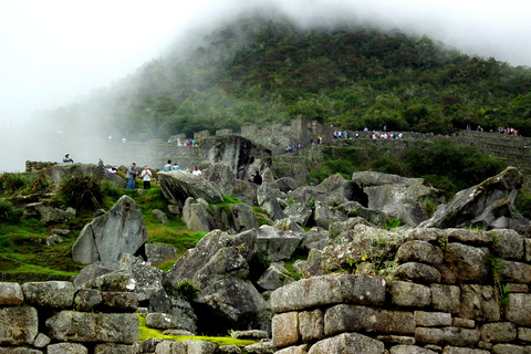 From Cusco: Exciting tour of the Inca Trail and Machu Picchu in 2 days Expedition Train