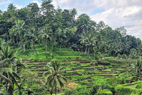 Bali: Ubud Swing, Rice Terrace & Temple Private Day Tour