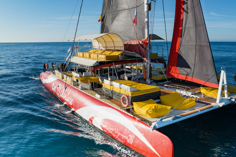 Cambrils: Catamaran Cruise with Drinks and BBQ Lunch Option Afternoon Cruise with Drinks