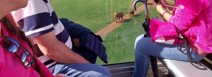 Depuis Santander : excursion d'une demi-journée au parc naturel de Cabarceno