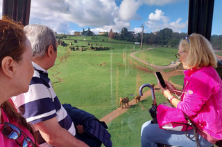 From Santander: Cabarceno Natural Park Half-Day Trip