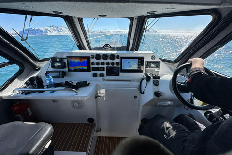 Tromsø: Observación de Orcas y Ballenas Excursión en barco climatizado confortableTromso: Excursión en barco climatizado confortable para avistar orcas y ballenas