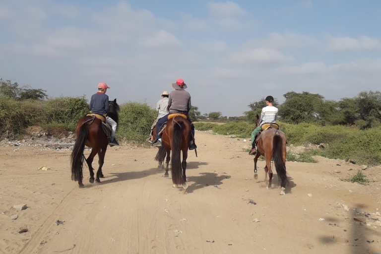 Peru: 4 godziny jazdy konnej i starożytne piramidyPeru, jazda konna w Chiclayo i starożytne piramidy Inków