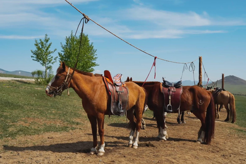 3-Day Mongolia Tour for Intl Travelers w/Pickup