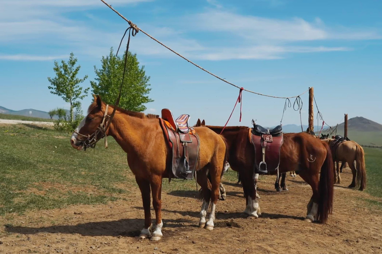 3-Day Mongolia Tour for Intl Travelers w/Pickup