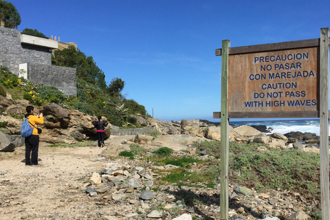 Exclusive Zapallar Walk, Luxury Mansions & Cachagua Wildlife