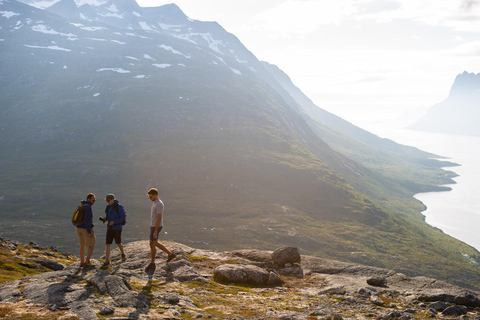 Tromsø: Midnight Fjord Tour