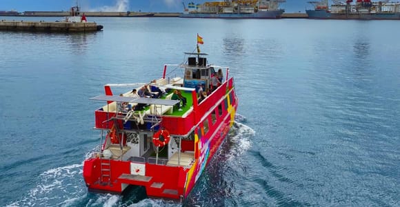 Las Palmas: Bay Cruise with City Views