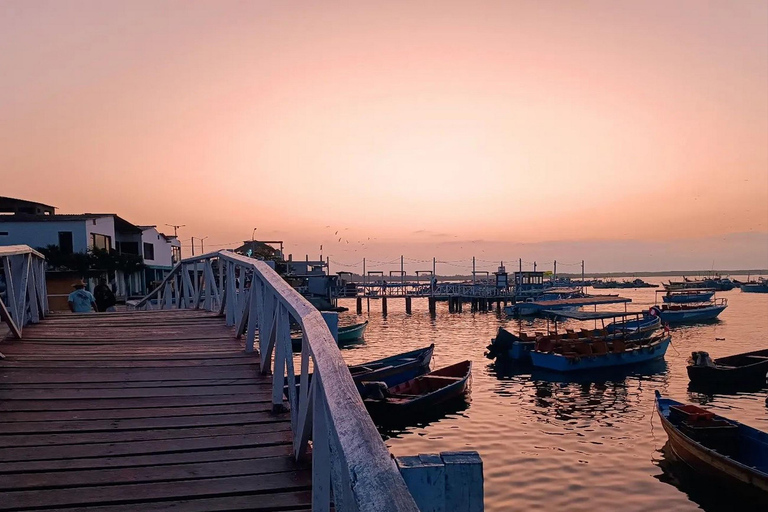 From Tumbes: Puerto Pizarro Mangrove and Islands Boat Tour