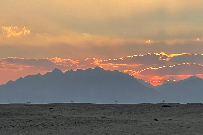 paseo en camello con puesta de sol y observación de estrellas