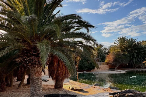 Djerba Explore: Crocodile Park & Lalla Hadria Museum Tour