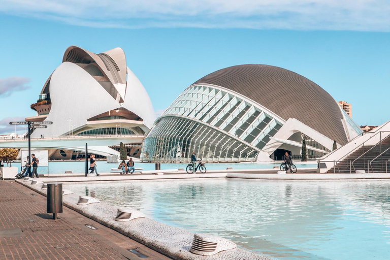 From Alicante: Valencia Full-Day Trip with Guided City Tour