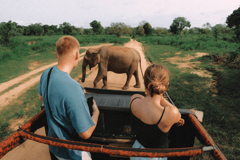 Habarana: Półdniowe safari w Hurulu Eco Park z odbiorem z hotelu