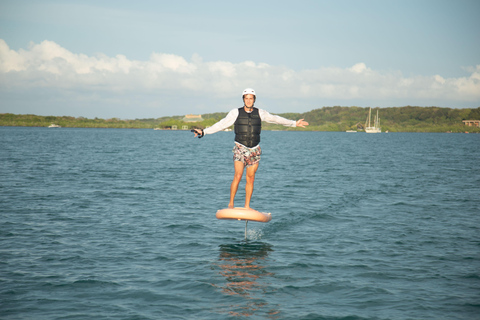 Cartagena: Efoil Fliteboard Experience BARÚ Barú, Cartagena: Efoil Fliteboard Experience