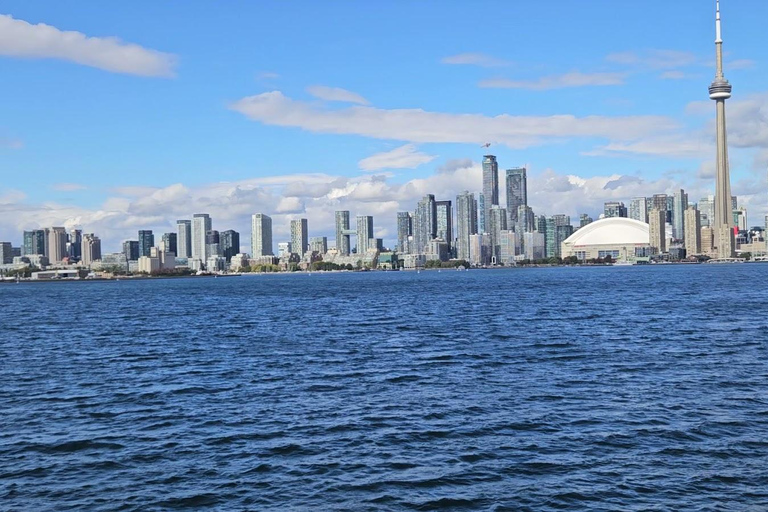 Toronto: Highlights Drive and Walking Tour