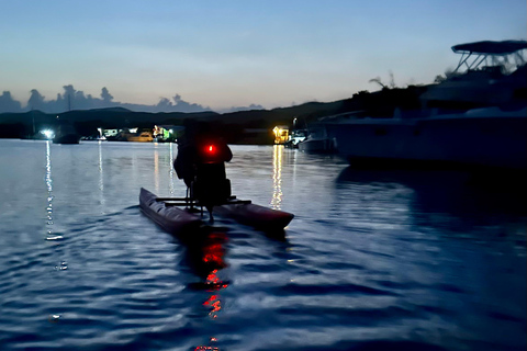 La Parguera: Excursiones en Chiliboats por la Bahía BioluminiscenteParguera: Excursiones en Chiliboats por la Bahía Bioluminiscente