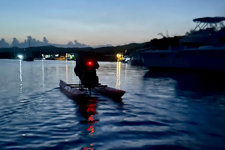 La Parguera: Excursiones en Chiliboats por la Bahía BioluminiscenteParguera: Excursiones en Chiliboats por la Bahía Bioluminiscente