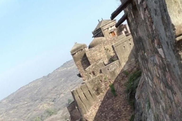 From Delhi: Ranthambore Wildlife Safari Tour with Transfers