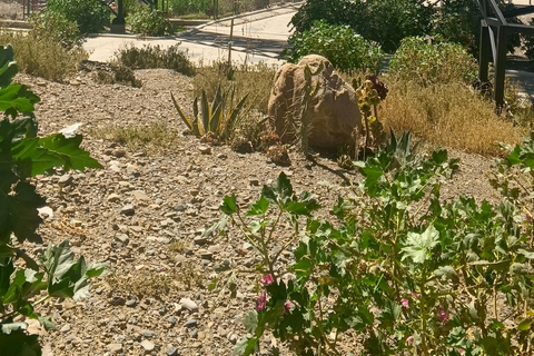 La Paz Highlights: 2 Viewpoints + Moon Valley + Cable Cars