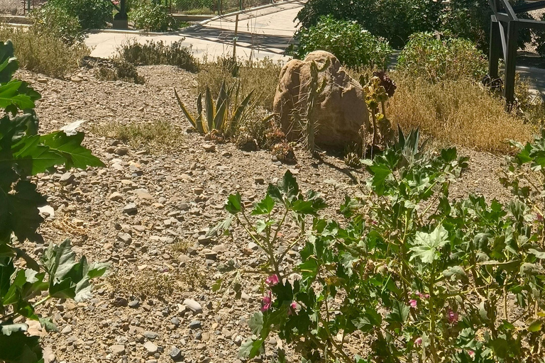 La Paz Highlights: 2 Viewpoints + Moon Valley + Cable Cars