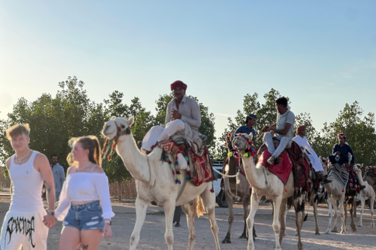 Hurghada: Camel Ride & horse ride and Off-Road Jeep Tour pickup from hotels inside hurghada