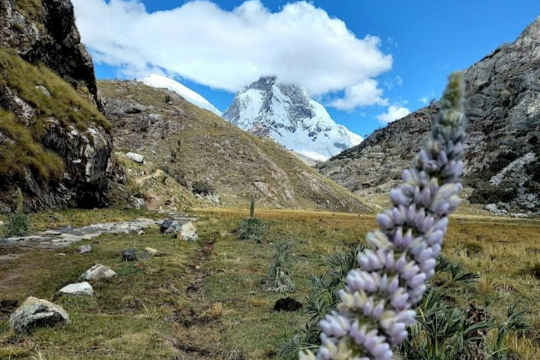 Huaraz: Hele dag Lagune 69 + Lagune van Llanganuco