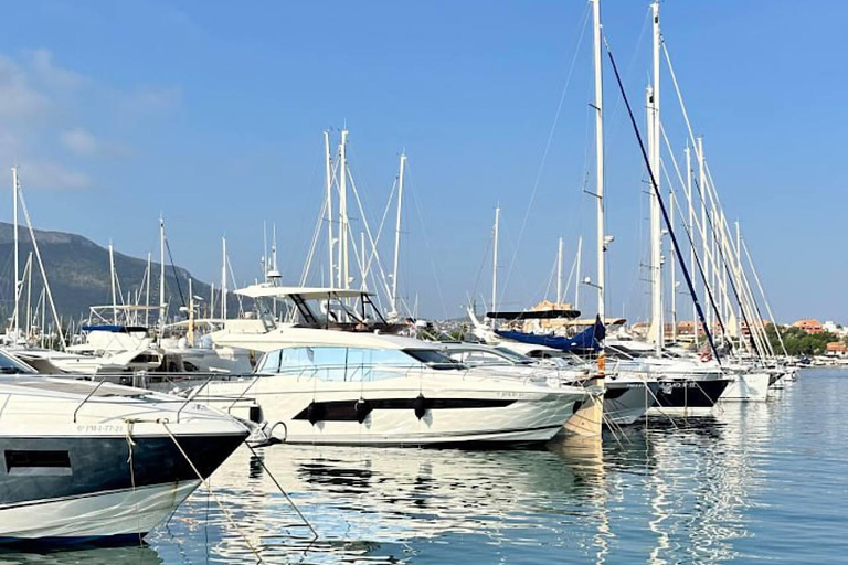 Denia: Guided Walking Tour