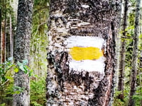 Kemeri National park Hiking trail (16 km) - Housity