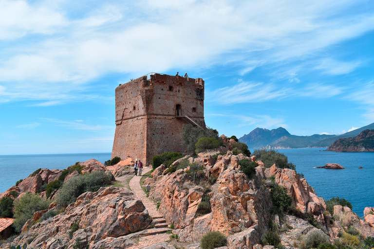 De Cargèse : Le grand tour du Golfe