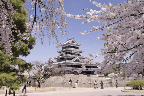 Kamikochi Private Hiking Trip from Tokyo, Nagoya & More From Nagoya: 1-Day Private Trip with Guide