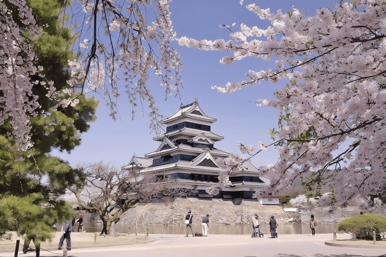 Kamikochi Private Hiking Trip from Tokyo, Nagoya & More From Nagoya: 1-Day Private Trip with Guide
