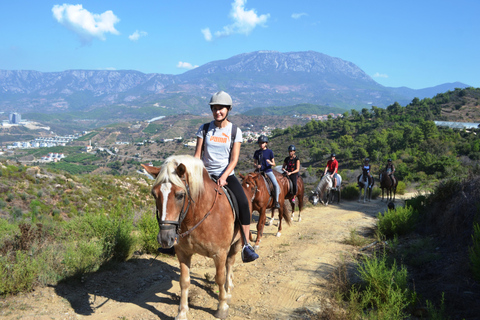 Alanya: Horse Riding Club Transfer Service For Alanya Center Oba Mahmutlar Location