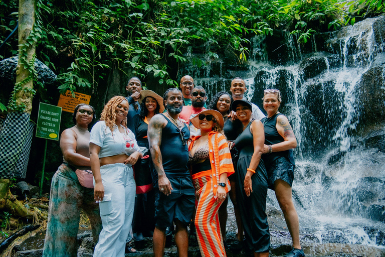 Bali: Hidden And New Secret Waterfalls All Including